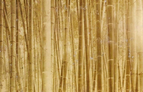 images/fabrics/ALEX TURCO/built-interiors/wall-panels/Bamboo/1